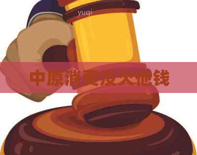中原消费没欠他钱