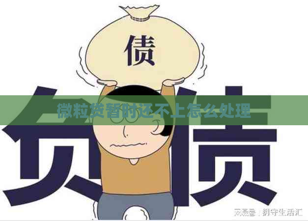 微粒贷暂时还不上怎么处理