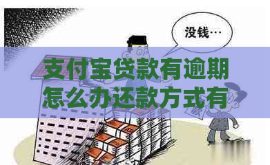 支付宝贷款有逾期怎么办还款方式有哪些
