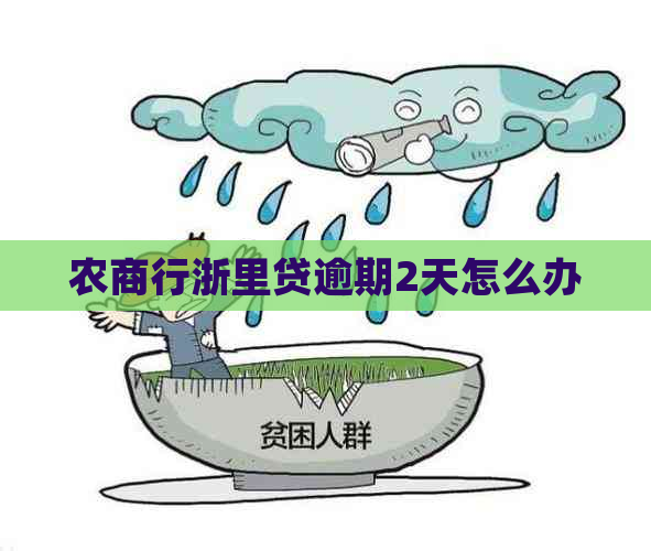 农商行浙里贷逾期2天怎么办