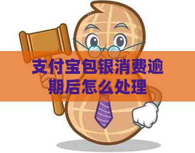 支付宝包银消费逾期后怎么处理