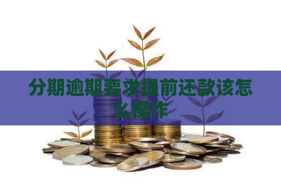 分期逾期要求提前还款该怎么操作