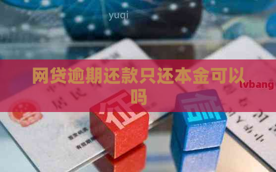 网贷逾期还款只还本金可以吗