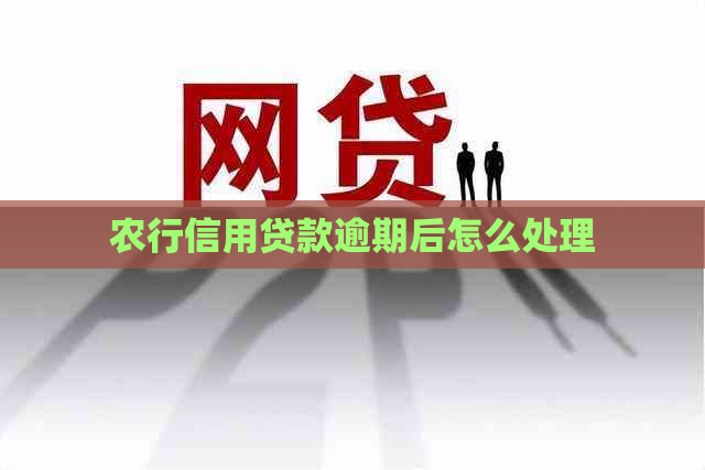 农行信用贷款逾期后怎么处理
