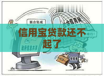 信用宝贷款还不起了