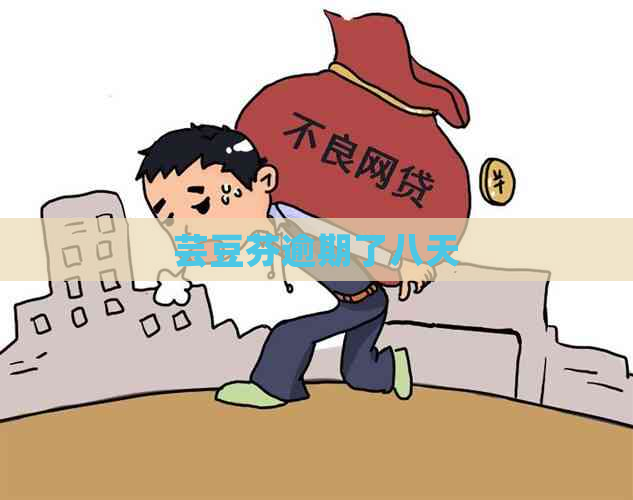 芸豆芬逾期了八天