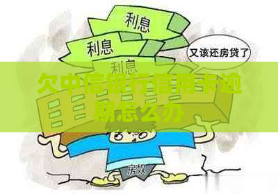 欠中信银行信用卡逾期怎么办