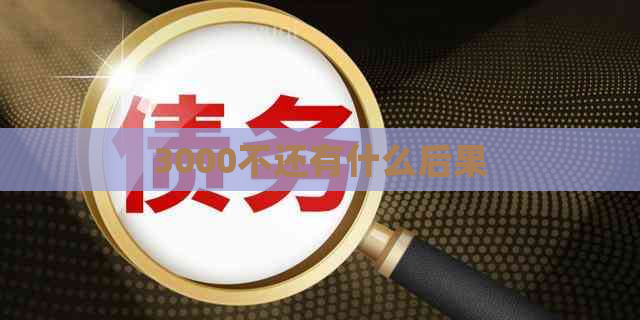 3000不还有什么后果
