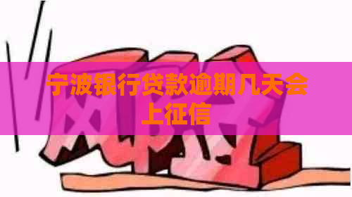 宁波银行贷款逾期几天会上