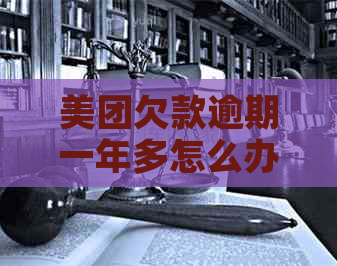 美团欠款逾期一年多怎么办