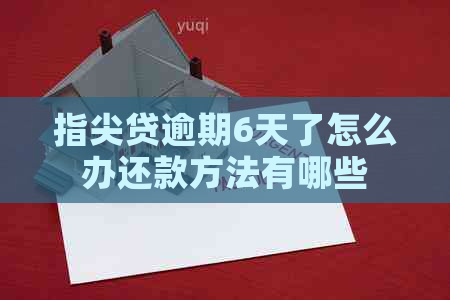 指尖贷逾期6天了怎么办还款方法有哪些