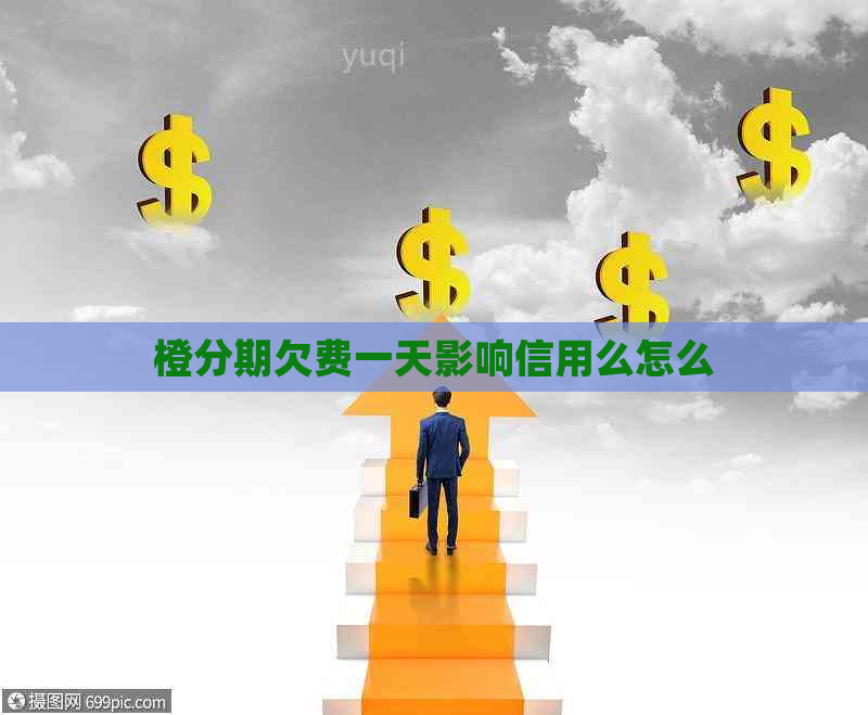 橙分期欠费一天影响信用么怎么