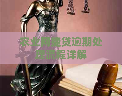 农业网捷贷逾期处理流程详解