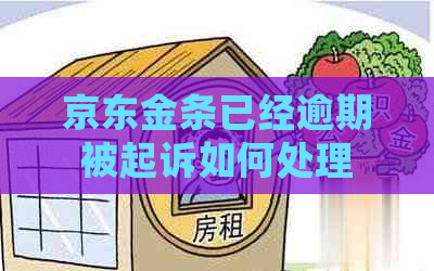 京东金条已经逾期被起诉如何处理