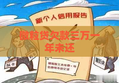 微粒贷欠款三万一年未还