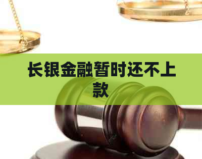 长银金融暂时还不上款