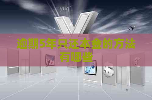 逾期5年只还本金的方法有哪些