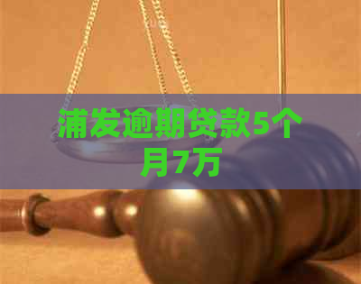 浦发逾期贷款5个月7万