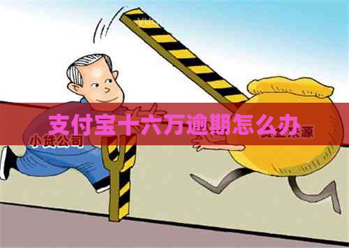 支付宝十六万逾期怎么办
