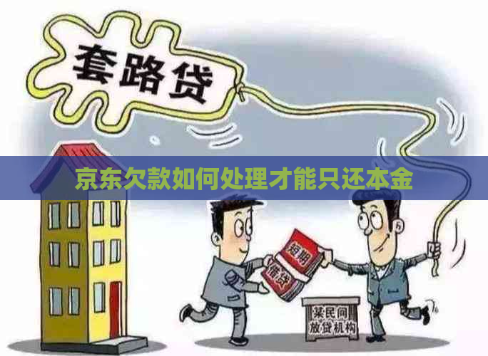 京东欠款如何处理才能只还本金