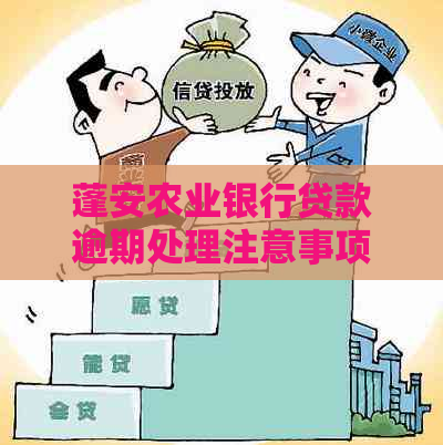 蓬安农业银行贷款逾期处理注意事项
