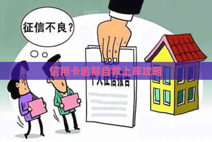 信用卡逾期自救上岸攻略