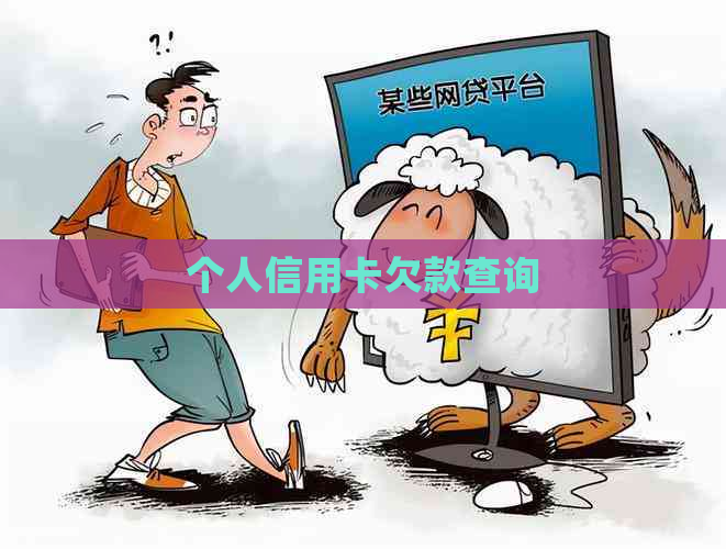 个人信用卡欠款查询