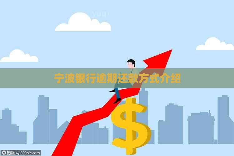 宁波银行逾期还款方式介绍