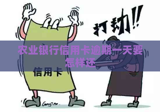 农业银行信用卡逾期一天要怎样还