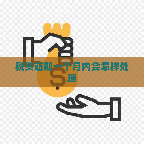 税贷逾期一个月内会怎样处理