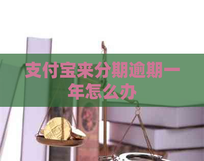 支付宝来分期逾期一年怎么办