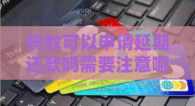 蚂蚁可以申请延期还款吗需要注意哪些事项