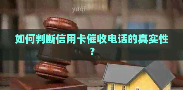 如何判断信用卡电话的真实性？