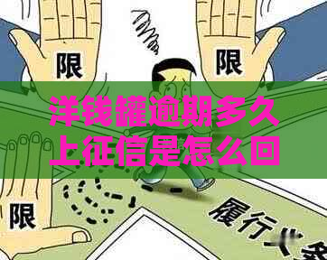 洋钱罐逾期多久上是怎么回事
