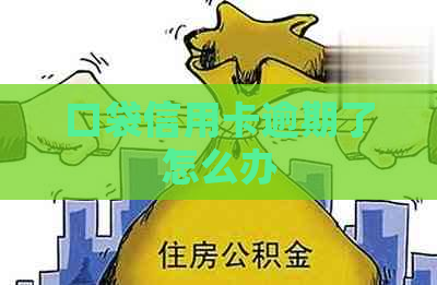 口袋信用卡逾期了怎么办