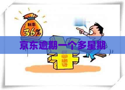 京东逾期一个多星期