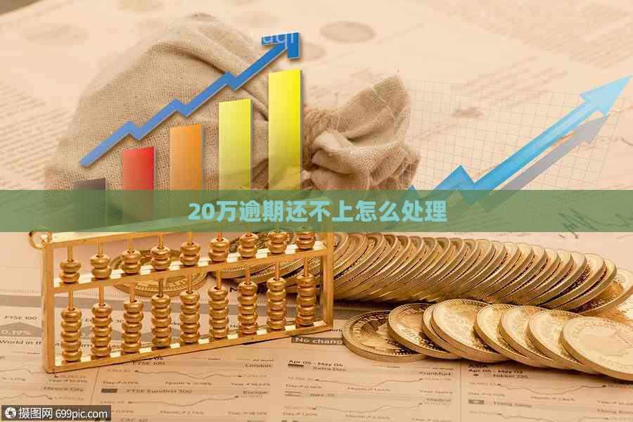 20万逾期还不上怎么处理