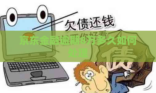 京东金融逾期8万多久如何处理