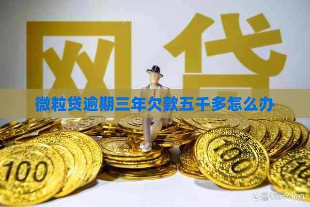 微粒贷逾期三年欠款五千多怎么办