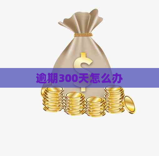 逾期300天怎么办
