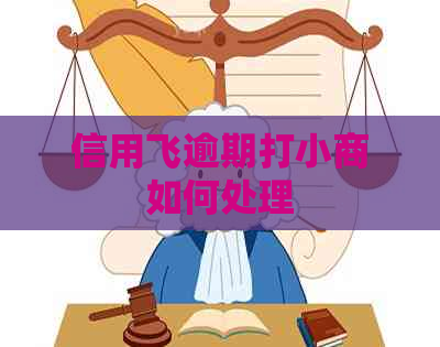 信用飞逾期打小商如何处理