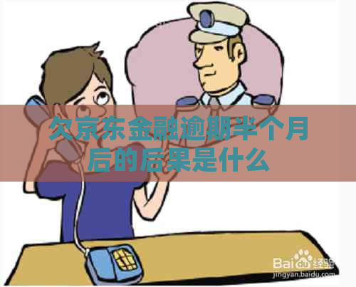 欠京东金融逾期半个月后的后果是什么