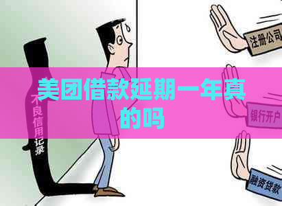 美团借款延期一年真的吗