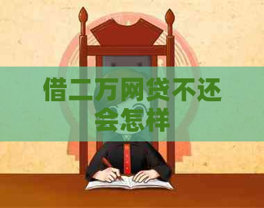 借二万网贷不还会怎样