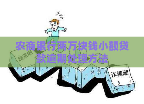 农商银行两万块钱小额贷款逾期处理方法