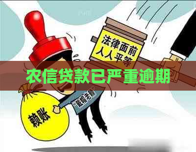 农信贷款已严重逾期
