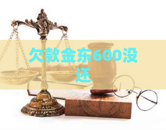 欠款金东600没还