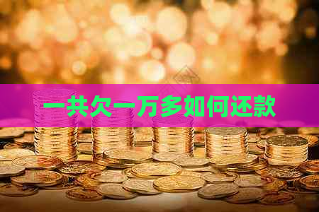 一共欠一万多如何还款