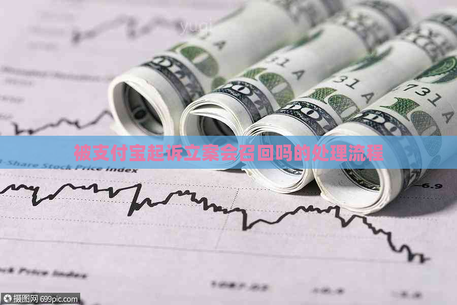 被支付宝起诉立案会召回吗的处理流程