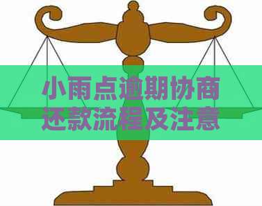小雨点逾期协商还款流程及注意事项